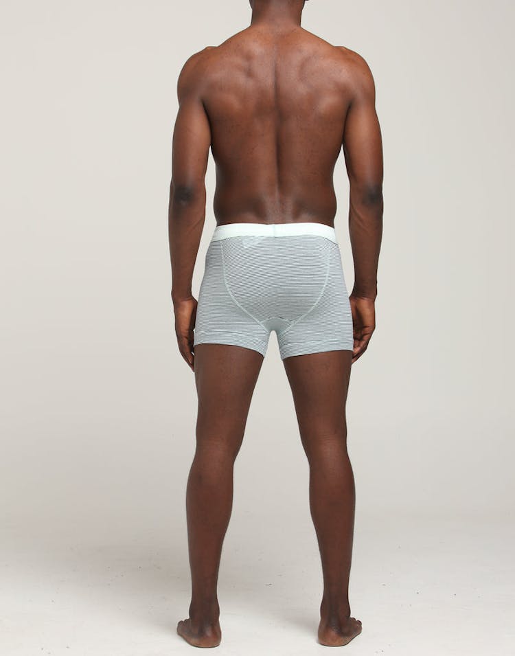 Calvin Klein Low Rise Trunk 3PK Green/Stripe/Blue