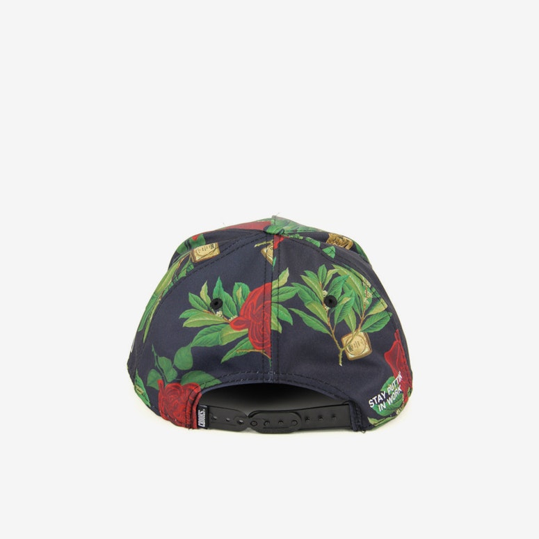 Verdant Snapback Black