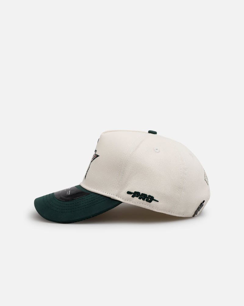 Pro Standard Houston Astros 'Tapestry 2.0' Pinch Front Strapback Dark Green