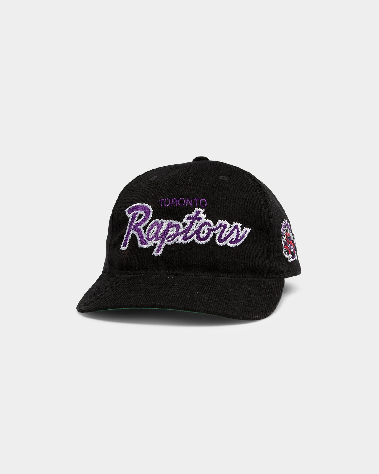 raptors infant hat