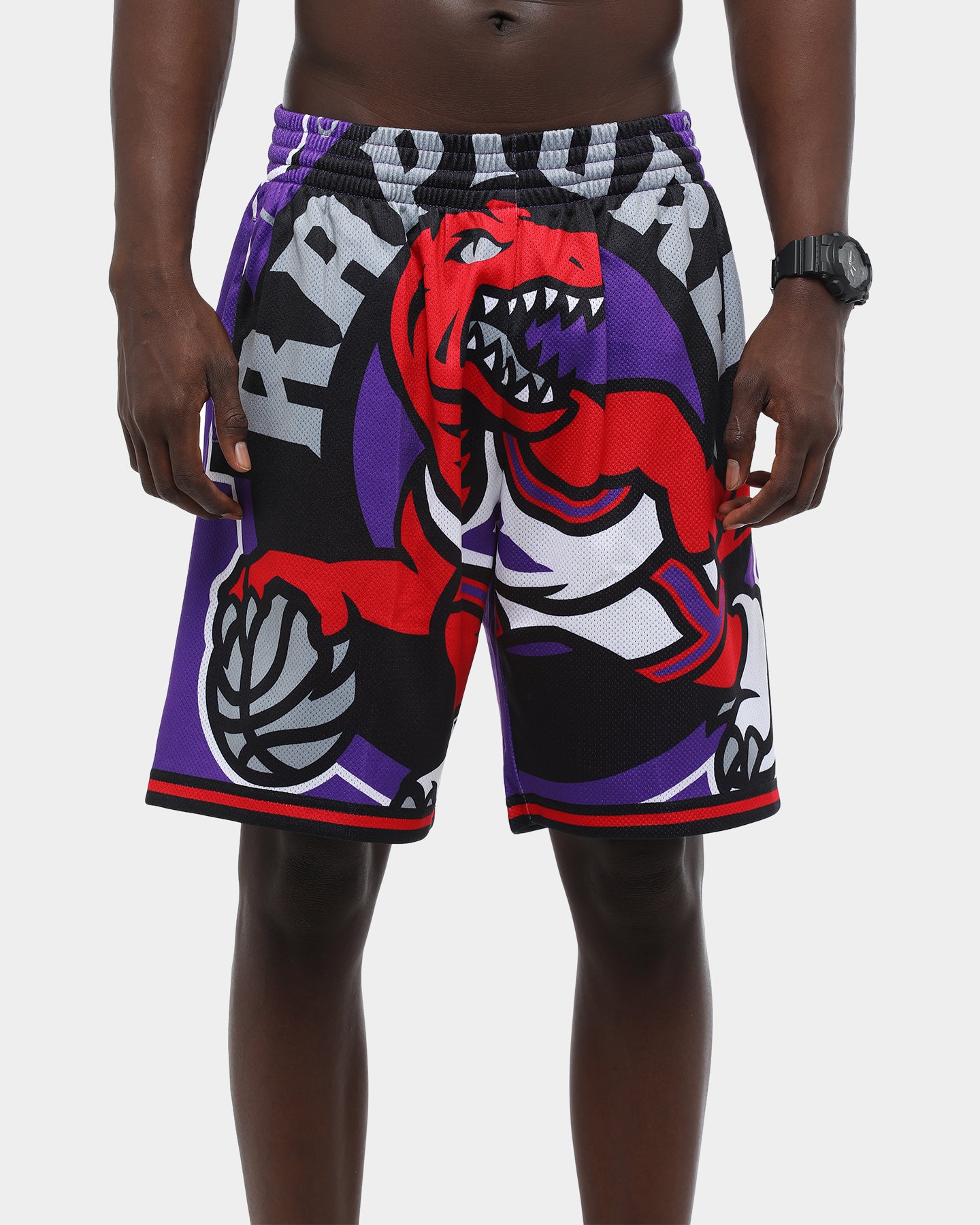 mitchell and ness raptors shorts