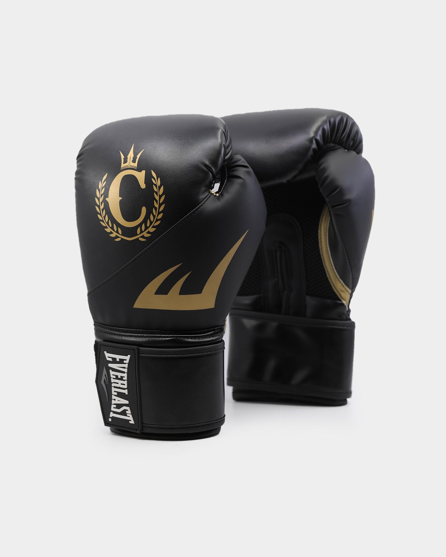 everlast ex boxing gloves