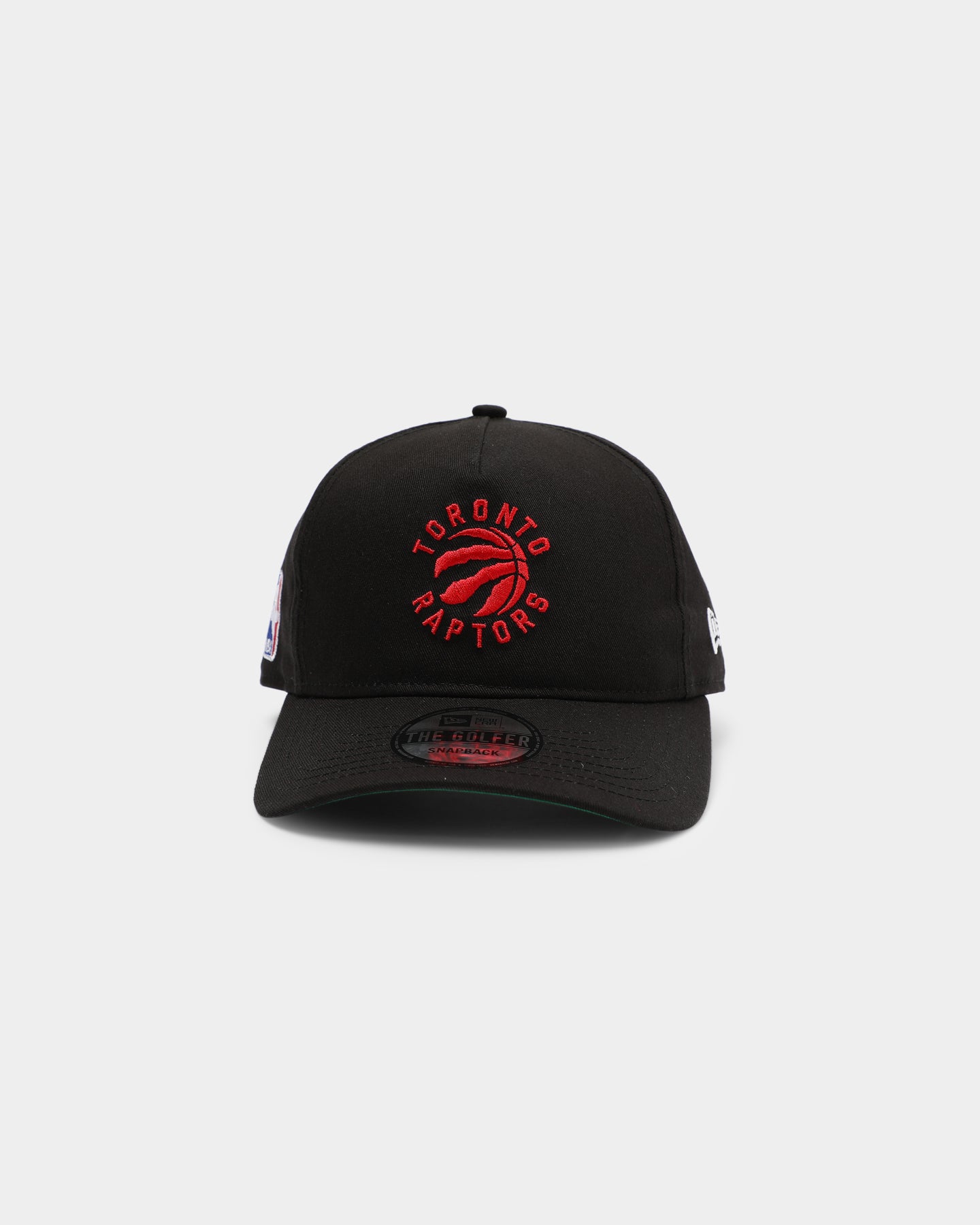 raptors old logo hat