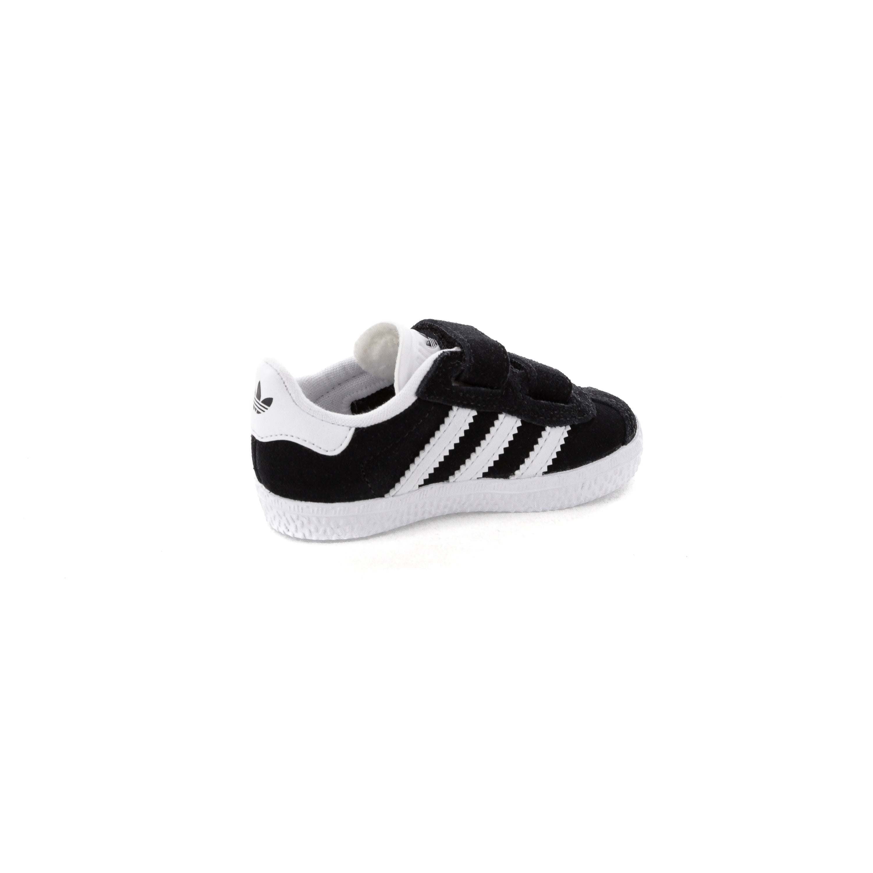 infant grey gazelles