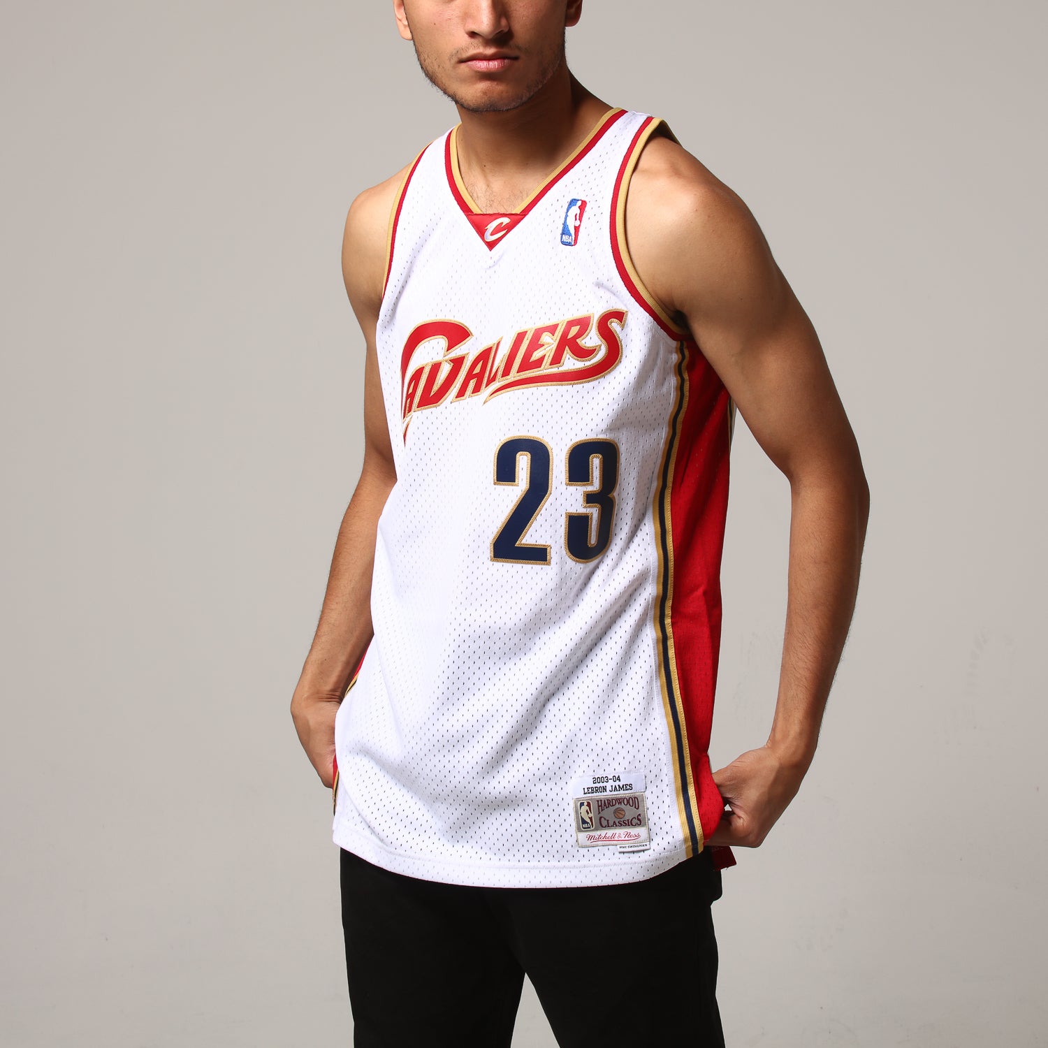 mitchell and ness lebron james